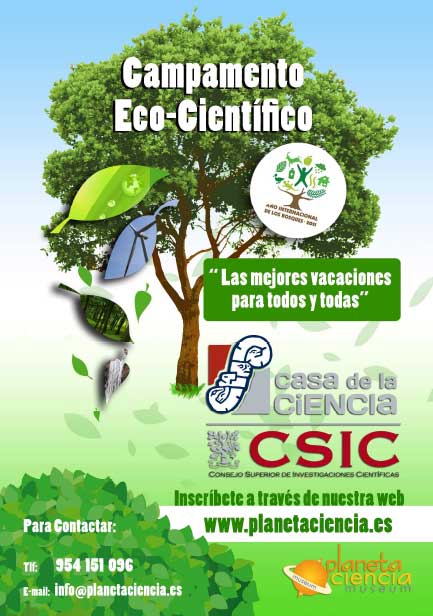 Campamento de verano para niños en la Casa de la Ciencia de Sevilla