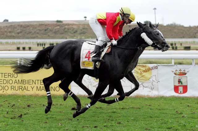 Del 20 de noviembre de 2011 al 12 de febrero de 2012 la temporada de carreras de caballos en el Gran Hipódromo de Andalucía Javier Piñar Hafner
