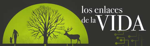 Del 18 de octubre de 2011 al 8 de abril de 2012 en la Casa de la Ciencia de Sevilla
